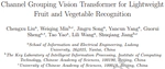 Channel Grouping Vision Transformer for Lightweight Fruit and Vegetable Recognition